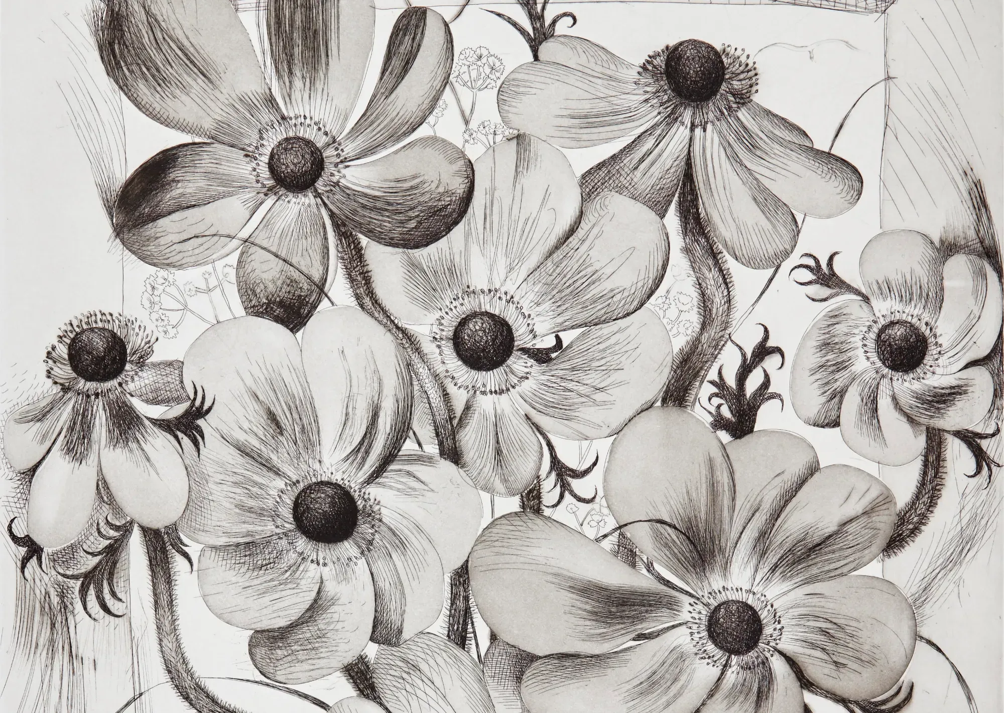 Cover image for Sikkema Malloy Jenkins