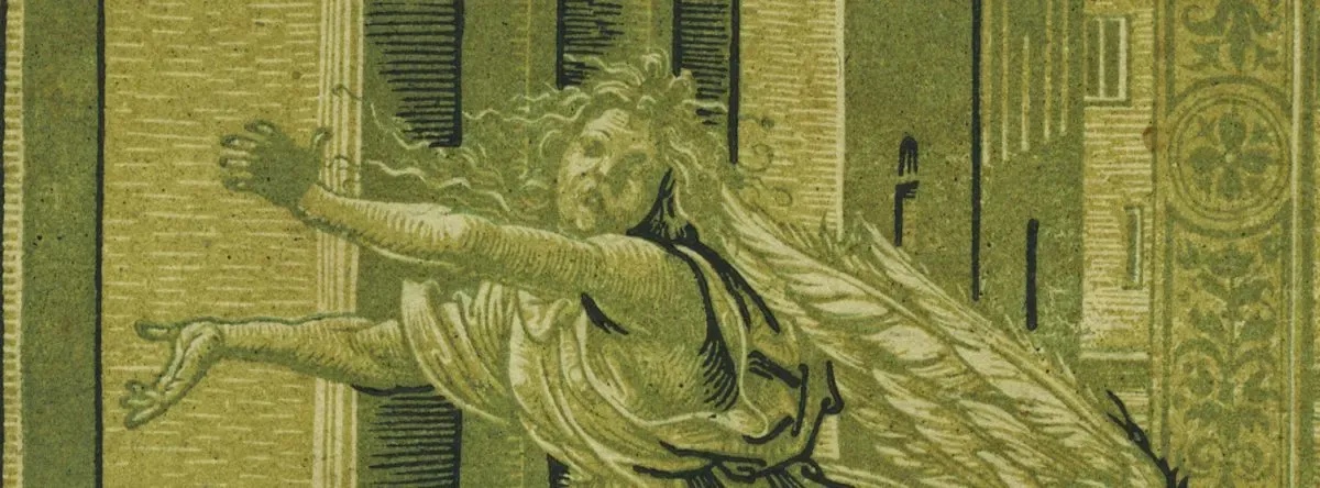 Cover image for C.G. Boerner